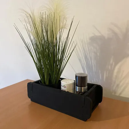 Naehe Universitaet Appartement Coblence