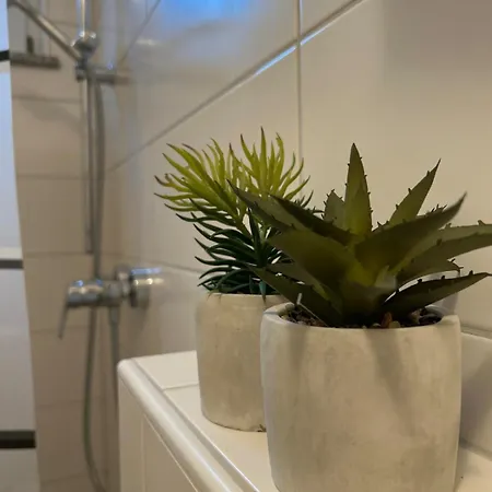 Naehe Universitaet Appartement Coblence