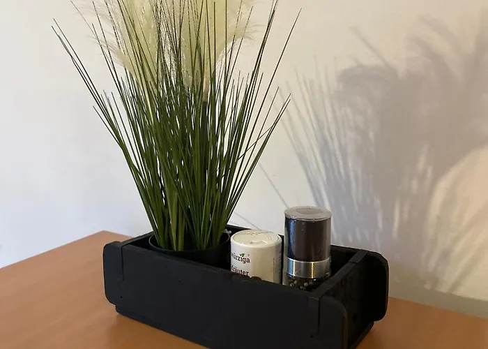 Naehe Universitaet Apartamento Coblença