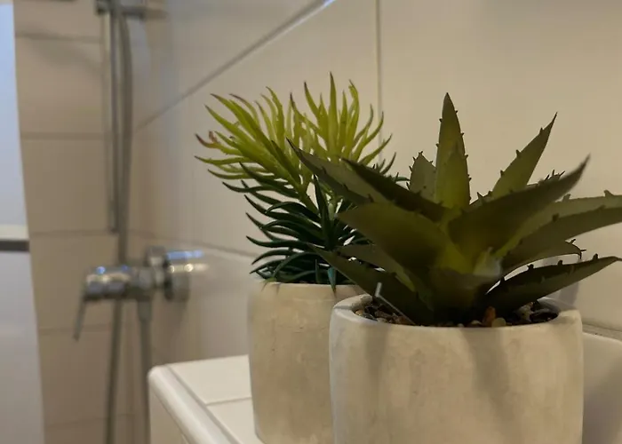 Naehe Universitaet Apartamento Coblença